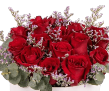 Give your loved ones the best birthday gift 47 view 2
