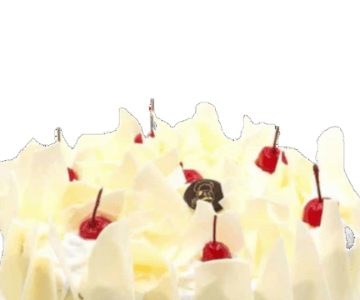 Elegant and distinctive gifts for your loved ones' birthday 12 view 2