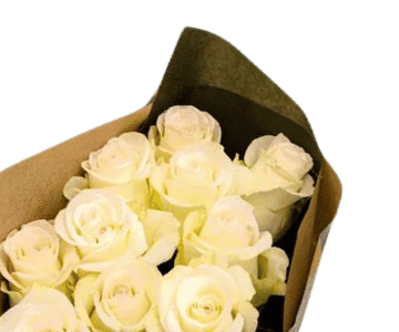 Rosen Weiss1 view 2