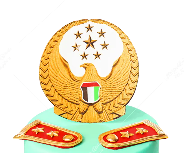 Military Medal Cake view 2