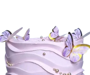 Purple butterfly cake view 2