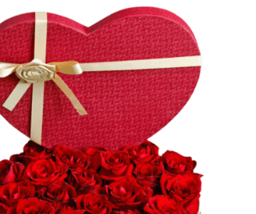 Give her an unforgettable gifts 19 view 2
