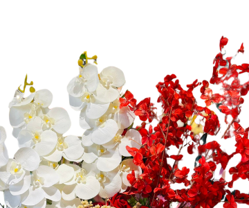 A vase filled with different colored roses in an elegant manner view 2