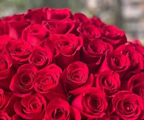 Rosso Cuore : 144 rose rosse view 2