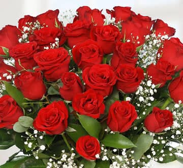 Passione Milanese : 33 Rose rosse view 2