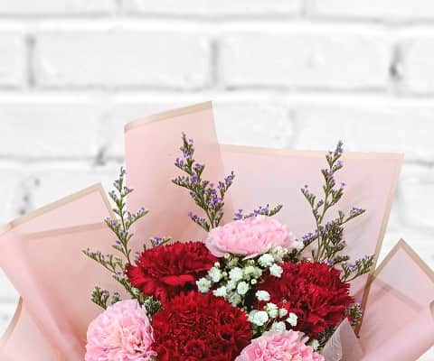 HC1013 Mixed Carnation Hand Bouquet view 2