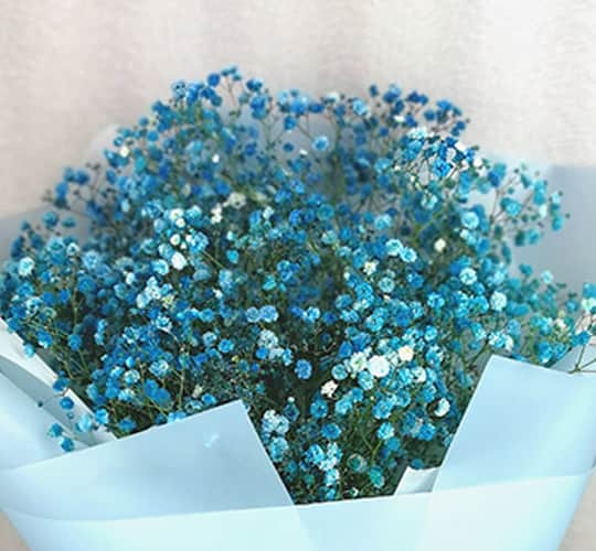 HB1002 Blue Baby Breath Hand Bouquet view 2