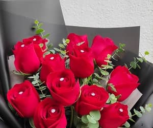 HR1215 Red Roses Bouquet view 2