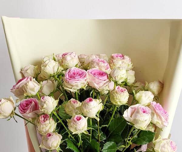 Bouquet of Pink spray roses view 2