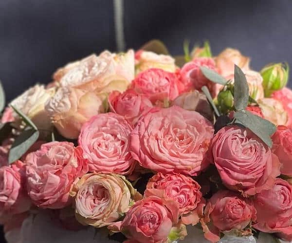 Spray roses Box view 2