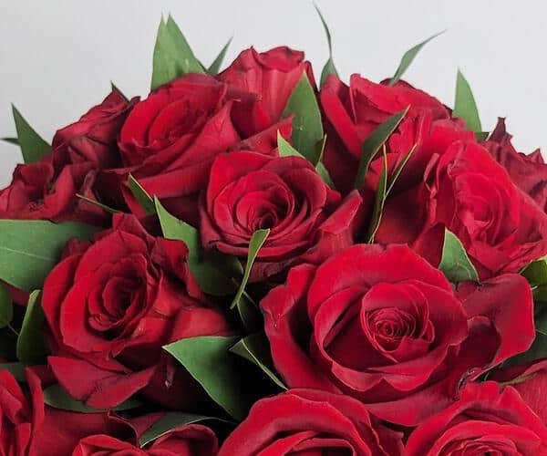 Maroon roses with eucalyptus in a red box view 2