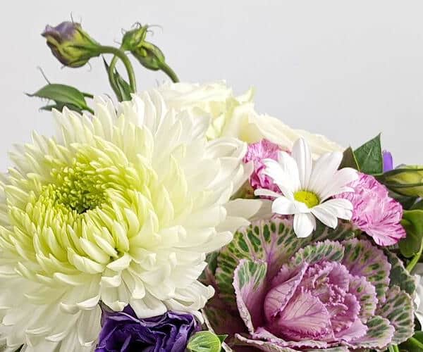 Michelle flower view 2