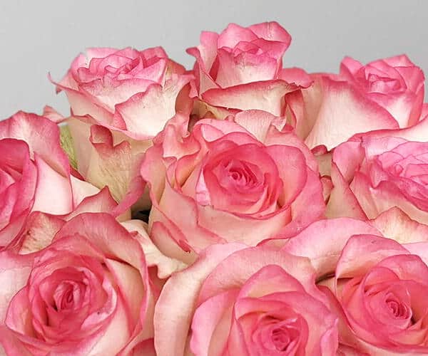 Box with Pink roses view 2