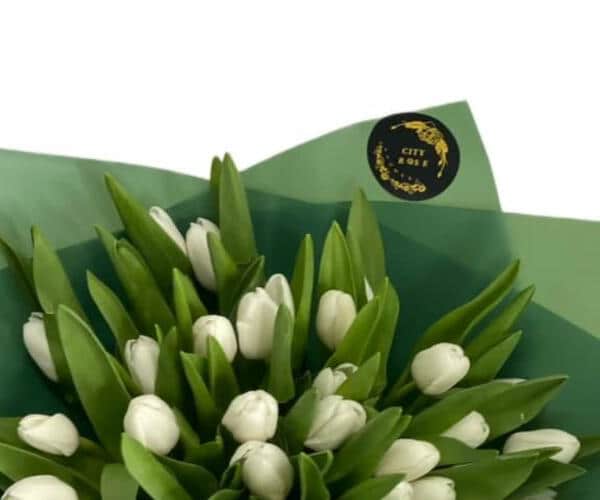 White tulip view 2