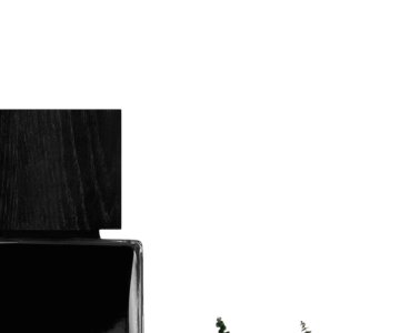 memo marfa gifts 5 view 4