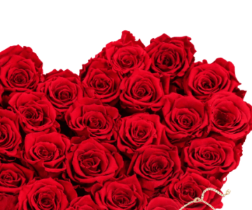 Special  gifts for valentine.Necklace 3 view 2