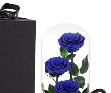 Valentine's Day gifts 4 view 2