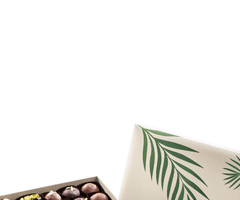 Assorted Healthy Sustainable Rectangular Date Box view 2