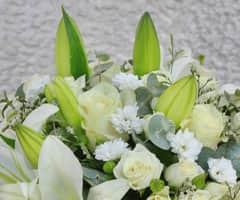 Happiness White Flowers view 2