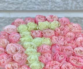 Pink Baby Roses Box view 2