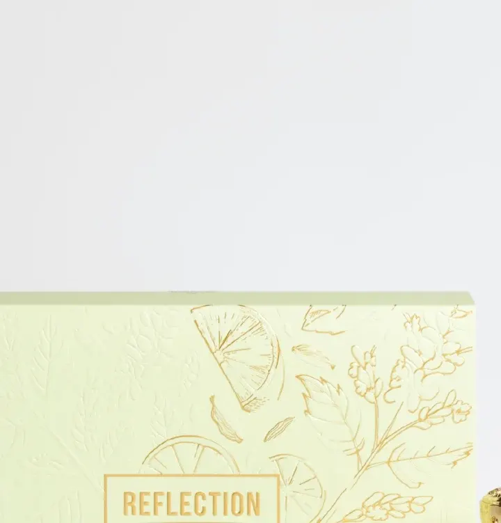 Reflection view 6