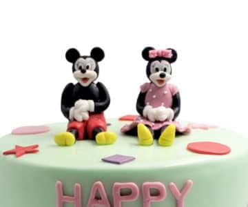 Mickey and Minnie view 2