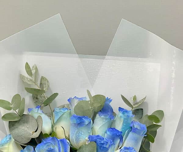True Blue view 2
