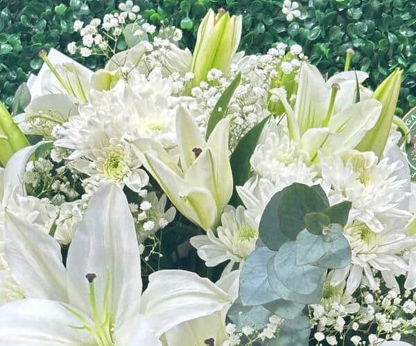 White roses view 2