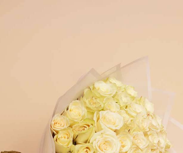 50 white roses view 2