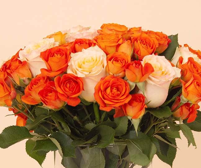 Flowrista | Bouquet of Simon & Orange Roses view 2
