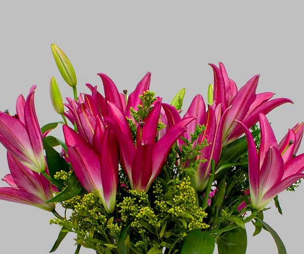 Pink Lily Vase view 2