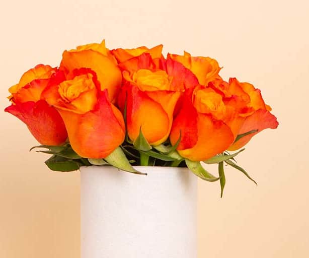 Orange Signature Vase - 20 Stems view 2