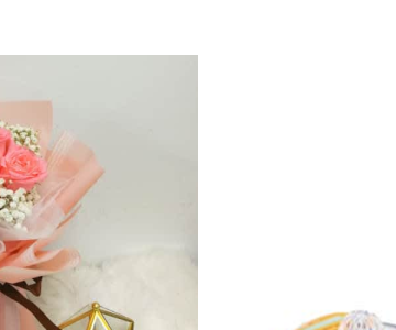 HB0304 Bundle 5203 view 2