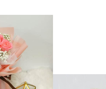 HB0304 Bundle 3755 view 2