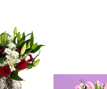 Organic Bundle 1051 view 2