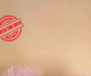 Passionelle Chocolate Baby Girl - 1kg view 2