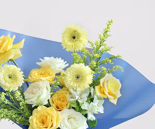 Sunny Celebrations view 8