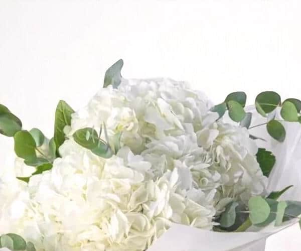 White Hydrangea Bouquet view 2