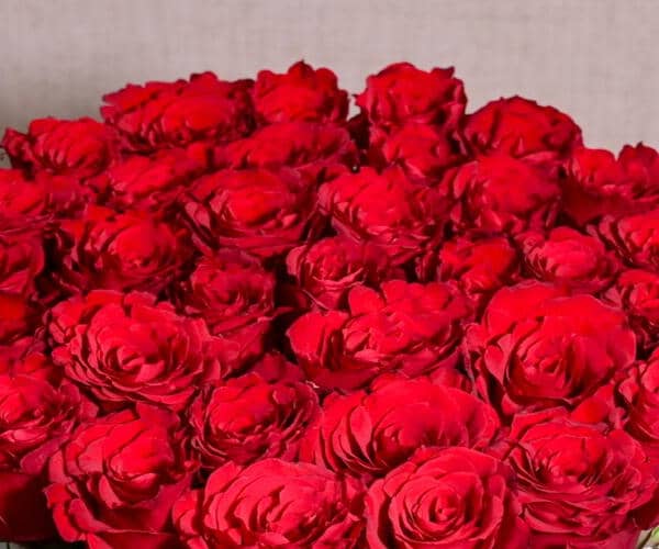 35 Premium Red Roses in a White Round Box- 1704 view 2