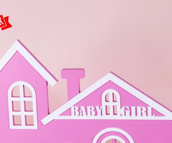 Baby girl house gift view 2