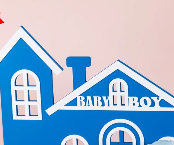 Baby boy house gift view 2