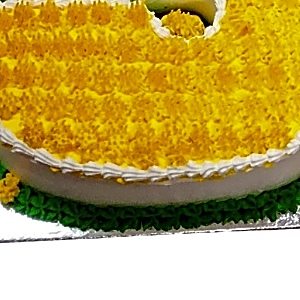 Number 5 Shaped Cake view 5
