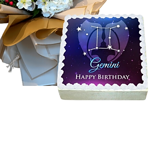 Gemini Cake Treats view 3