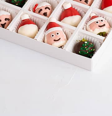 Mr. and Mrs. Santa Clause Berries view 3