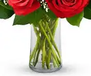 Aries Flowers 3 view 3