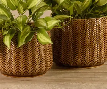 Artificial Vanilla Leaf Plant view 3