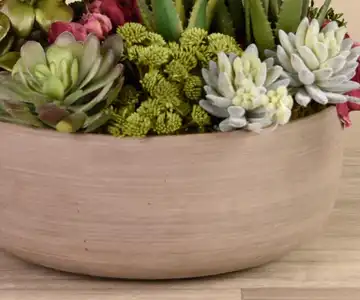 Artificial Succulent Plant Arrangement view 3