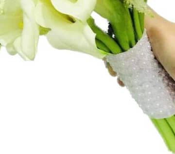 Calla white with astile view 3