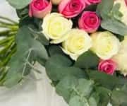 WOMEN’S DAY SPECIAL #3 N view 3