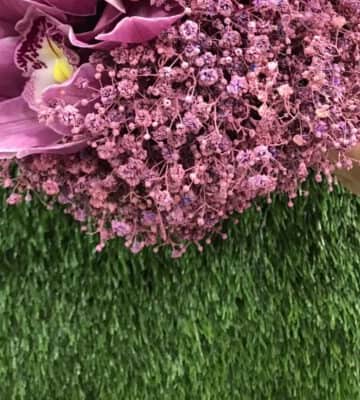 Cymbidium with pink gypsophila N view 3